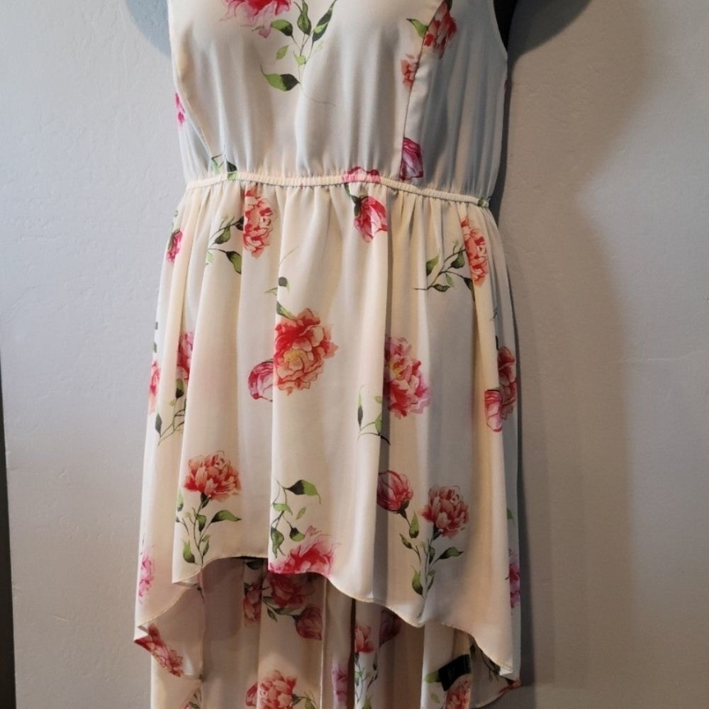 Torrid 1 Rose High Low halter tunic top - Picture 3 of 9